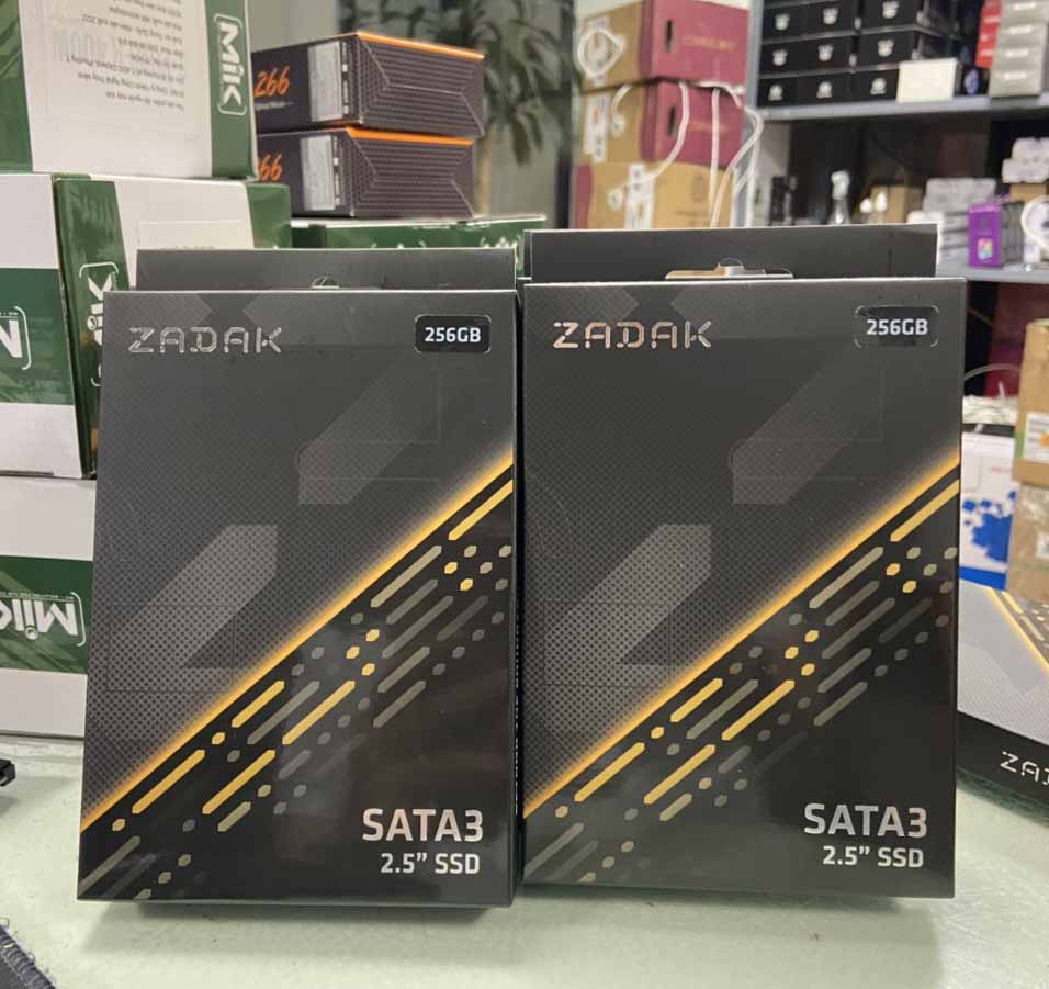 SSD ZADAK TWSS3 256GB