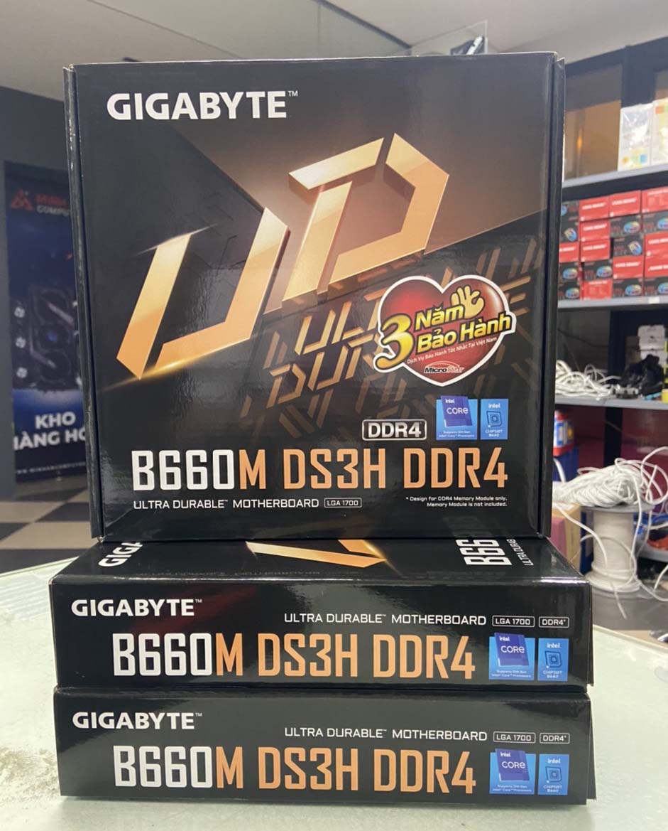 Gigabyte B660M DS3H DDR4 box