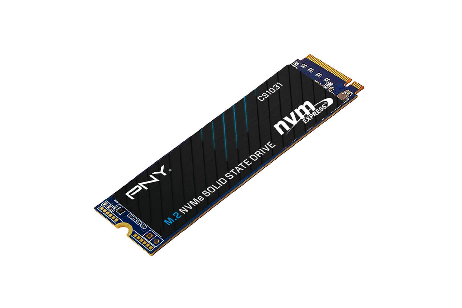Ổ cứng SSD PNY CS1031 256GB (M.2 2280 | PCIe Gen 3x4 NVMe 1.3 | 1700MB/s | 1100MB/s)