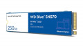 Ổ Cứng SSD NVMe WD Blue SN570 250GB (3300MB/s - 1200MB/s | WDS250G3B0C)