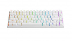 Bàn Phím Cơ AKKO 3084v2 RGB White (AKKO CS Jelly Pink Switch)