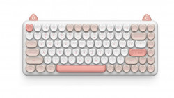 Bàn phím cơ IQUNIX M80 Purry Cat Ragdoll Wireless RGB Kailh Red Switch