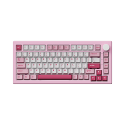 Bàn phím cơ AKKO 5075 V3 Prunus Lannesiana