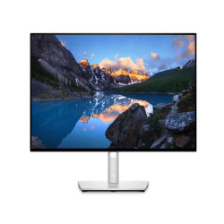 Màn hình Dell U2421E (24inch | WUXGA | IPS | 60Hz | Flat)