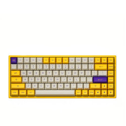 Bàn phím cơ AKKO 3084v2 ASA Los Angeles - AKKO CS Switch