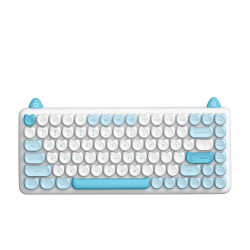 Bàn phím cơ IQUNIX M80 Purry Cat Persian Wireless RGB Kailh Blue Switch