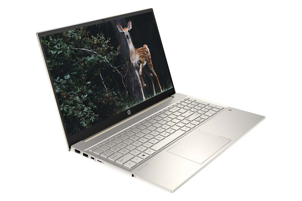 Laptop HP Pavilion 15-eg0513TU 46M12PA (i3-1125G4 | RAM 4 GB | SSD 256 GB | 15.6-